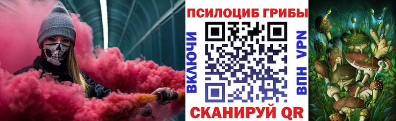 Купить закладки  Зеленогорск  Галлюциногенные грибы прущие грибы 