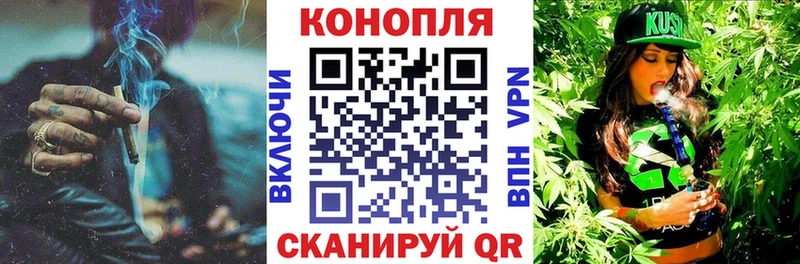 Купить где  Зеленогорск  Канабис Amnesia 